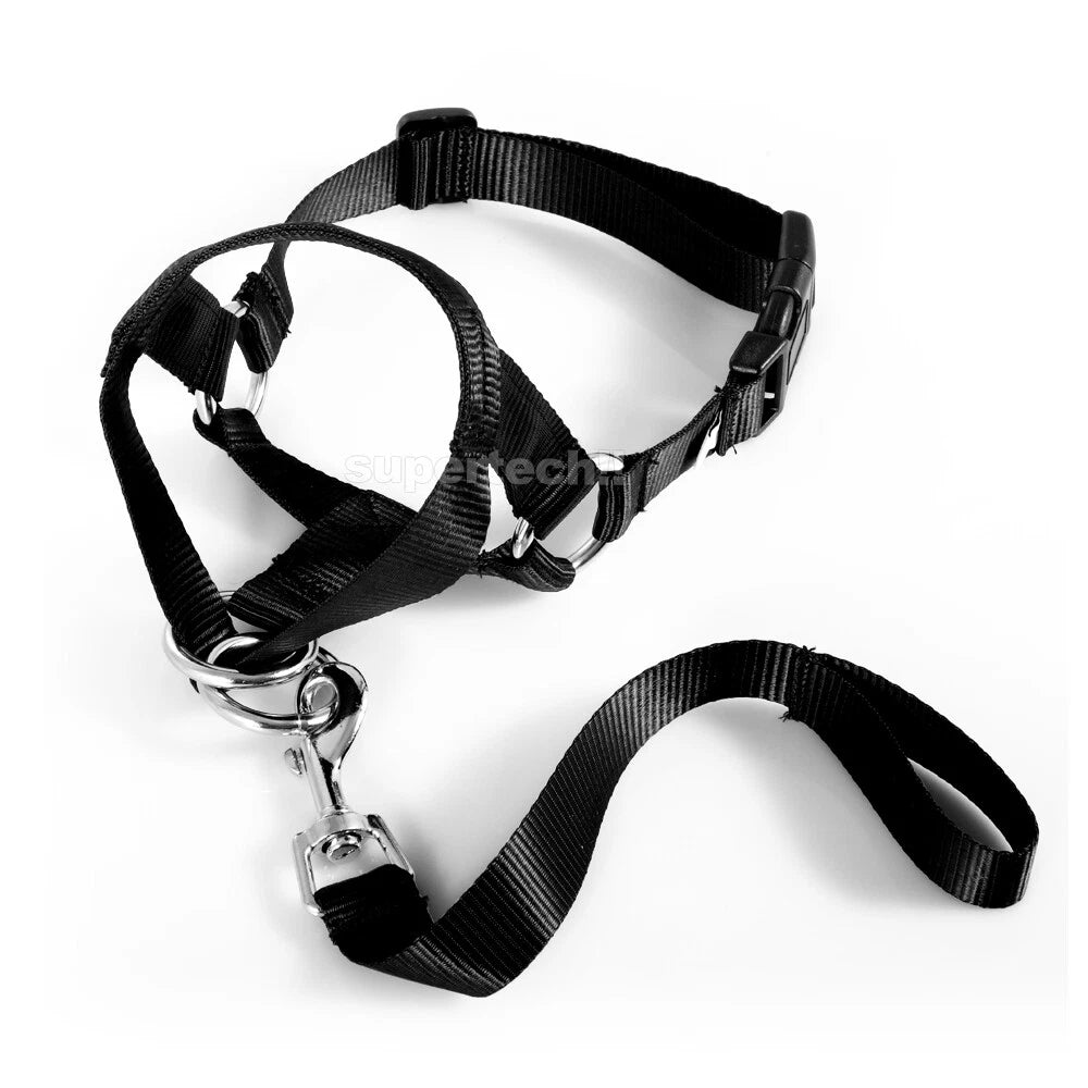 Dog Training Head Collar Halter Stop Pulling Training Tool Harness Strap Leader