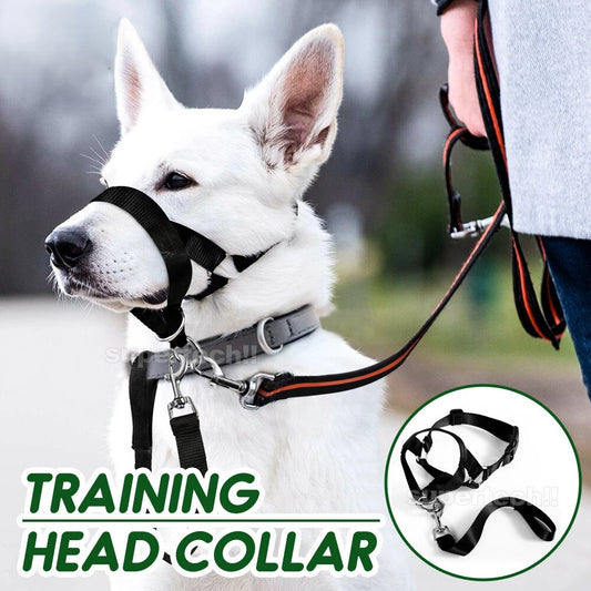 Dog Training Head Collar Halter Stop Pulling Training Tool Harness Strap Leader