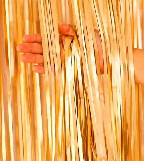 2M Metallic Fringe Tinsel Curtain Foil Backdrop Streamer Event Party Drop AUS