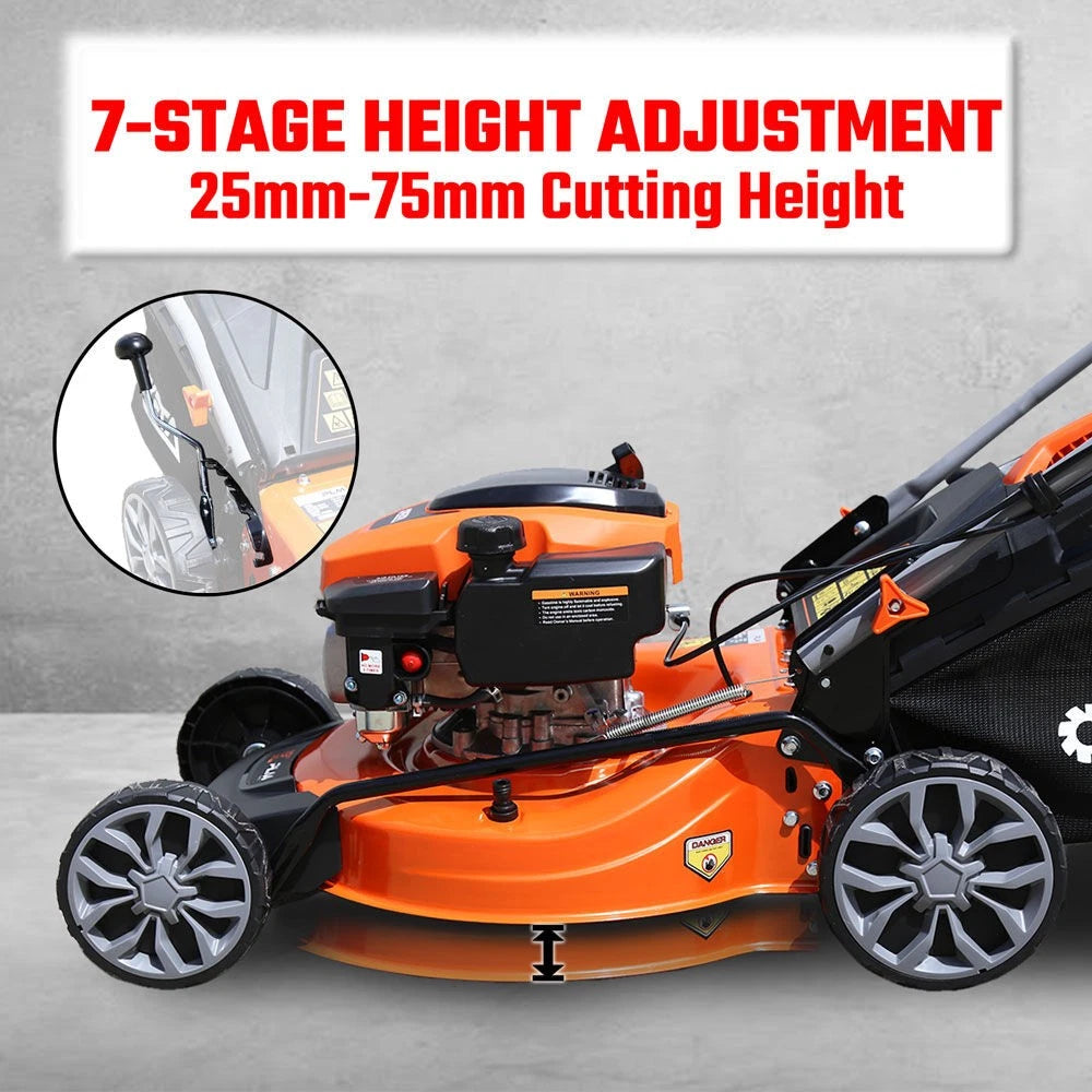 19'' Self-Propelled Lawn Mower 180cc Petrol Lawnmower OHV 4-Stroke Push 7-Height