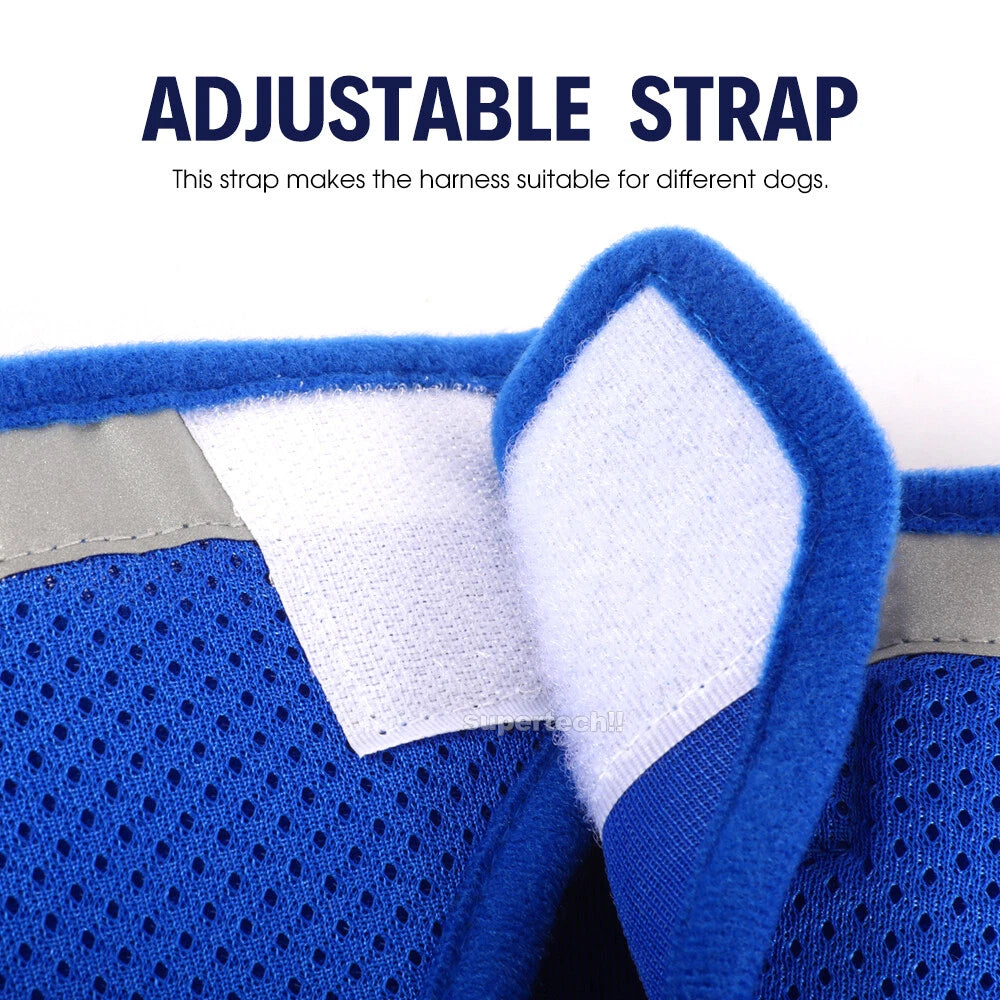 Kitten Dog Cat Harness Walking  Vest Lead Leash Collar Pet Vest Mesh Adjustable