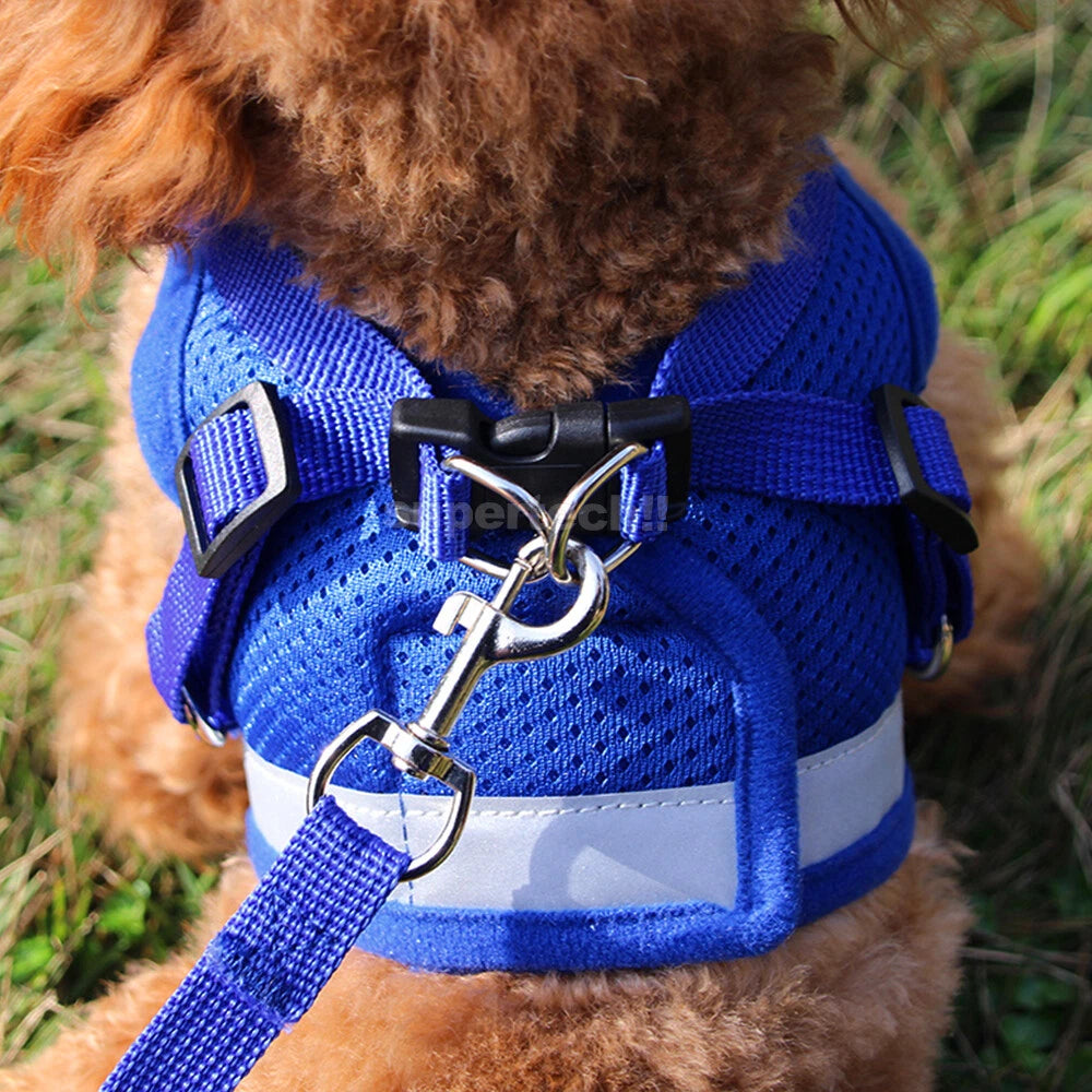Kitten Dog Cat Harness Walking  Vest Lead Leash Collar Pet Vest Mesh Adjustable