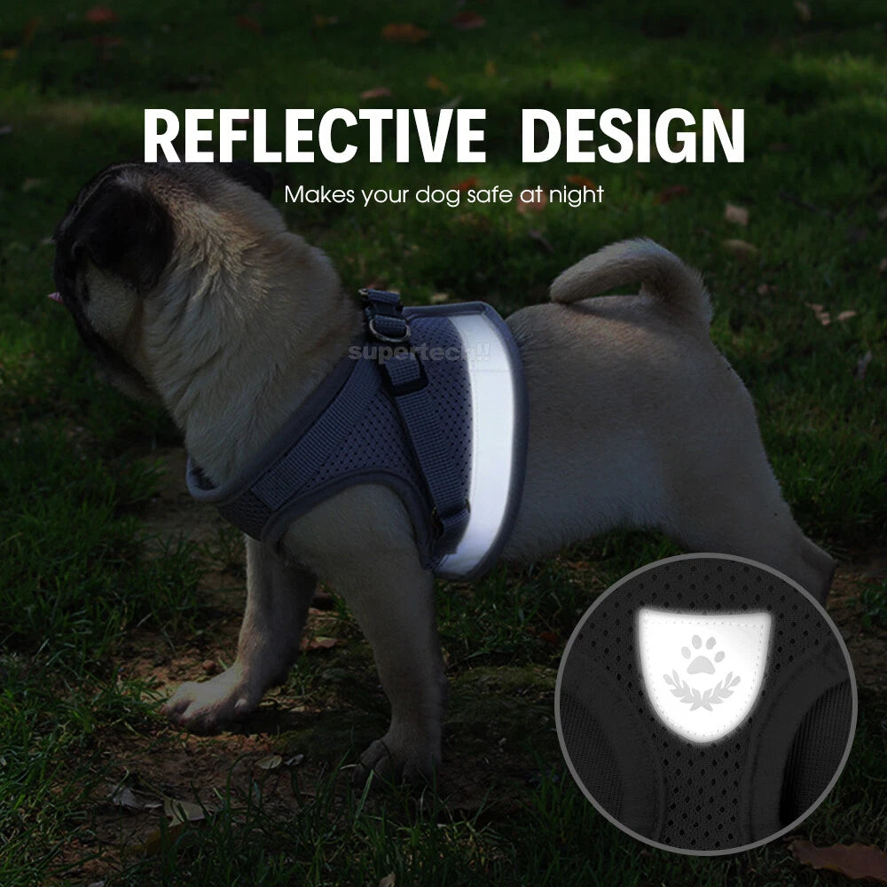 Kitten Dog Cat Harness Walking  Vest Lead Leash Collar Pet Vest Mesh Adjustable