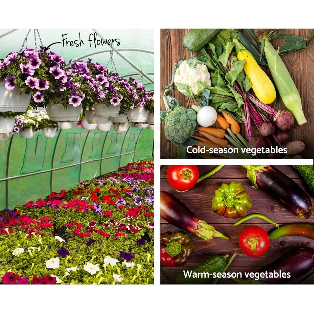 Green Fingers Greenhouse 4 Tiers Mini Green House Garden Bed Planter Box