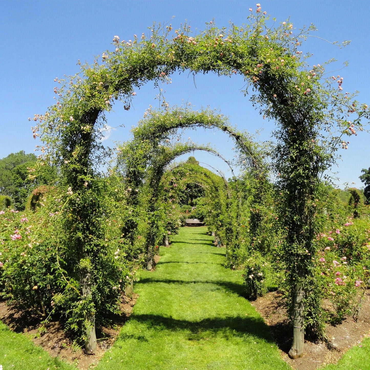 Garden Arch Wedding Archway Trellis Climbing Plants Support with Base