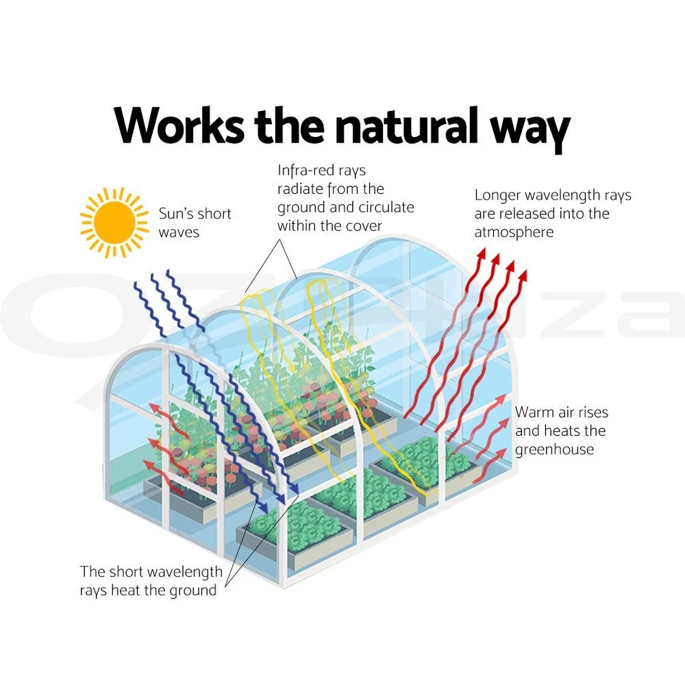 Green Fingers Greenhouse Walk in Green House Plant Garden Dome 3x2x2M